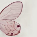 httpwadmproducts523wdtw1301