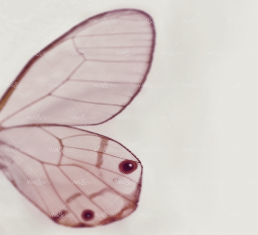 httpwadmproducts523wdtw1301