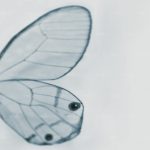 httpwadmproducts524wdtw1302