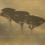 httpwadmproducts5323thumb_imageswdbl2001