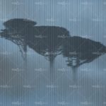 httpwadmproducts5324thumb_imageswdbl2002