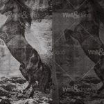 httpwadmproducts532wdec1301