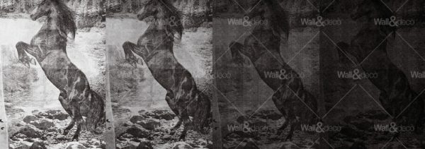 httpwadmproducts532wdec1301