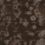 httpwadmproducts5334thumb_imageswddd2002