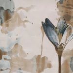 httpwadmproducts5364thumb_imageswdde2002