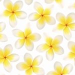 httpwadmproducts53wdfl0801