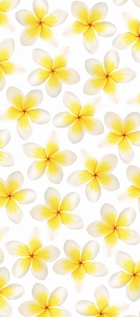 httpwadmproducts53wdfl0801