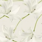 httpwadmproducts54wdfl0802