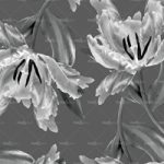 httpwadmproducts55wdfl0803