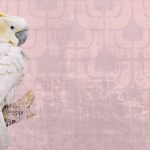 httpwadmproducts589gpw130320a