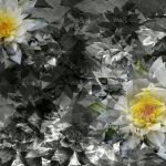 httpwadmproducts597gpw131220a