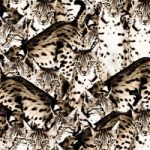 httpwadmproducts63wdba0802