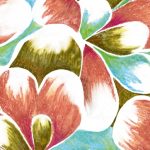 httpwadmproducts645bbdr1301