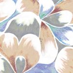 httpwadmproducts646bbdr1302