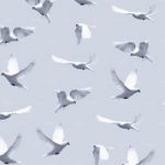 httpwadmproducts64wdba0803