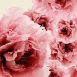 httpwadmproducts76wdbl060120b