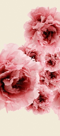 httpwadmproducts76wdbl060120b