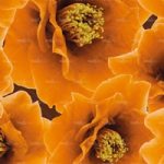 httpwadmproducts78wdbl060320c