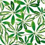 httpwadmproducts79wdj0501