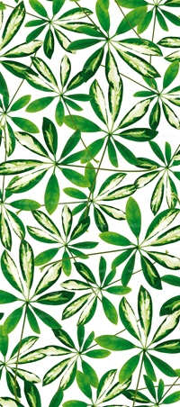 httpwadmproducts79wdj0501