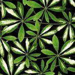 httpwadmproducts80wdj050220def20corr20607