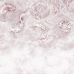 ml469_col2