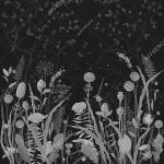 nr26_col1
