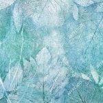 re204_col3
