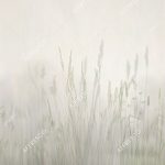 zk420_col3