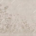 zk432_col2