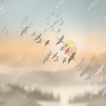 zk444_col3